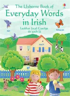 Everyday words in Irish