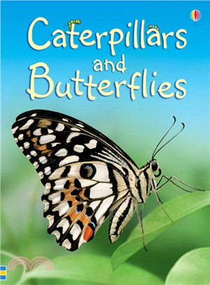 Usborne Beginners: Caterpillars and Butterflies