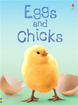 Usborne Beginners: Eggs and Chicks | 拾書所