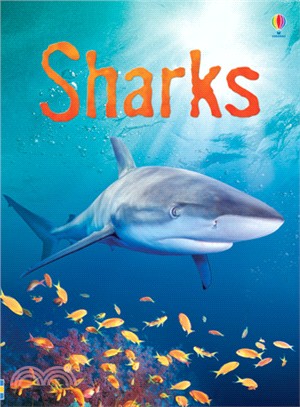 Usborne Beginners: Sharks | 拾書所