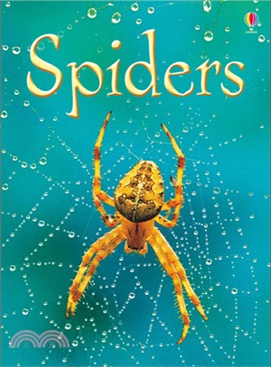 Usborne Beginners: Spiders | 拾書所