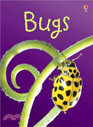 Usborne Beginners: Bugs