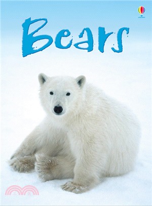 Usborne Beginners: Bears