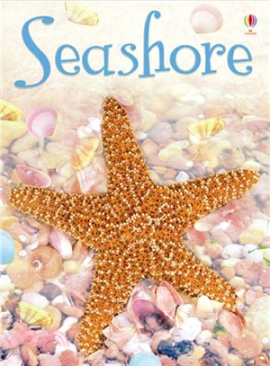 Usborne Beginners: Seashore