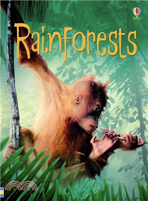 Usborne Beginners: Rainforests