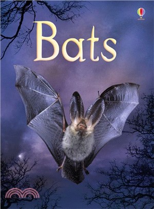 Usborne Beginners: Bats