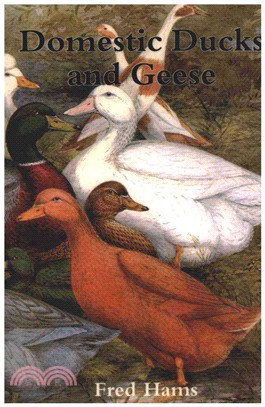 Domestic Ducks and Geese