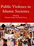 Public Violence in Islamic Societies: Power, Discipline, and the Construction of the Public Sphere, 7th-19th Centuries Ce