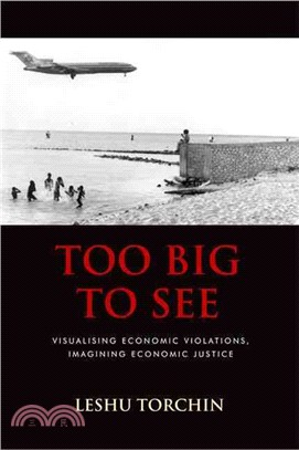 Too Big to See: Visualising Economic Violations, Imagining Economic Justice