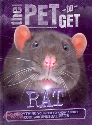 The Pet to Get: Rat