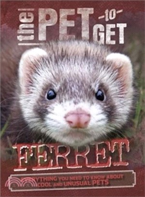 Ferret