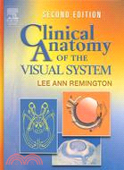 Clinical Anatomy Of The Visual System