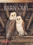 Barn Owl