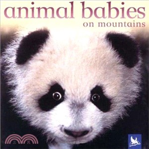 Animal Babies On Mountains
