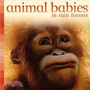 Animal Babies in Rain Forests