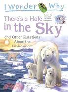 I Wonder Why There's a Hole in the Sky: And Other Questions About the Environment
