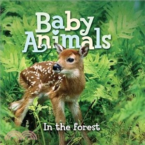 Baby Animals In the Forest