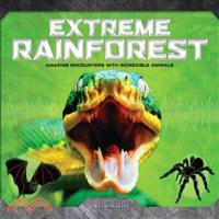 Extreme Rainforest