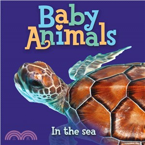 Baby Animals in the Sea