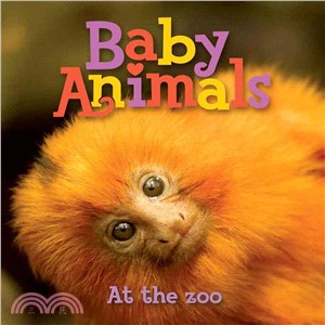 Baby Animals at the Zoo