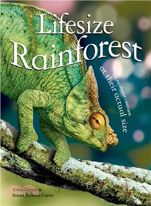 Lifesize rainforest /
