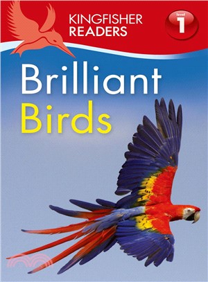 Brilliant Birds