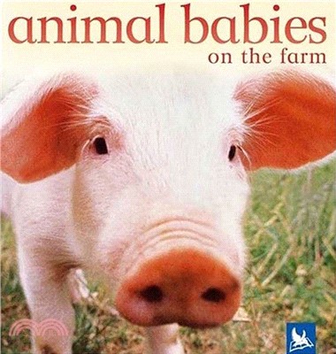 Animal Babies On the Farm