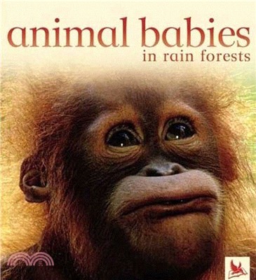 Animal Babies in Forests
