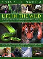 Animal Kingdom—Life in the Wild: How Wild Animals Survive in Their Different Habitats, From Deserts and Jungles to Oceans and The Skies