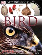 DK Eyewitness Books: Bird