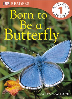 Born to Be a Butterfly