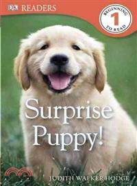 Surprise Puppy!