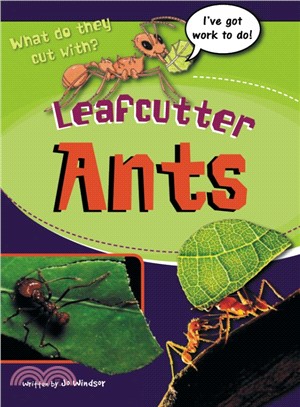 Leafcutter Ants ― Rigby Sails Sailing Solo Green Leveled Reader