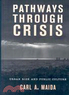 Pathways Through Crisis: Urban Risk and Civic Culture