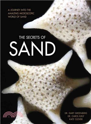 The Secrets of Sand ─ A Journey into the Amazing Microscopic World of Sand