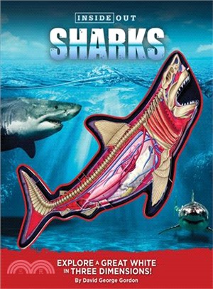 Sharks ─ Look Inside a Great White in Three Dimensions!