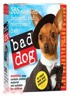 Bad Dog 2011 Calendar: 365 Outspoken, Indecent, and Overdressed Dogs