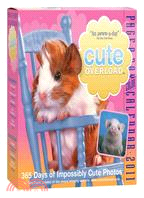 Cute Overload 2011 Calendar