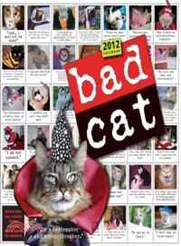 Bad Cat 2012 Calendar