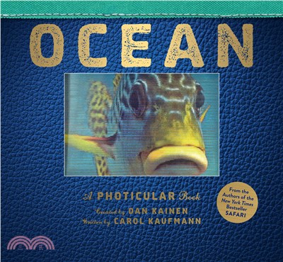 Ocean ─ A Photicular Book