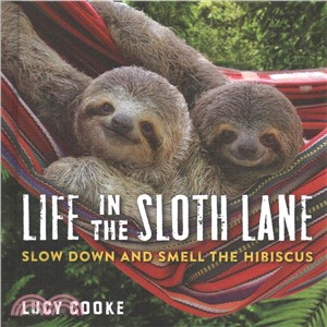 Life in the Sloth Lane ─ Slow Down and Smell the Hibiscus