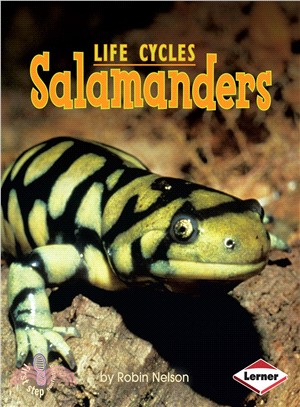 Salamanders