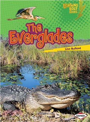 The Everglades