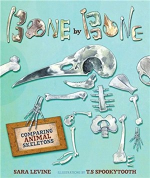 Bone By Bone：Comparing Animal Skeletons