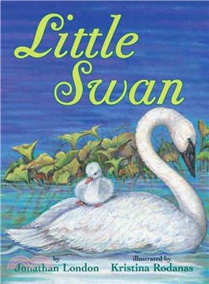 Little Swan