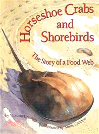 Horseshoe Crabs and Shorebirds: The Story of a Food Web