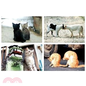 【人人明信片】貓咪兩相好明信片（8張）
