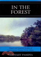 In the Forest: Visual and Material Worlds of Andamanese History (1858-2006)