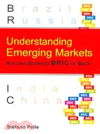 Understanding Emerging Markets: Building Business BRIC by Brick