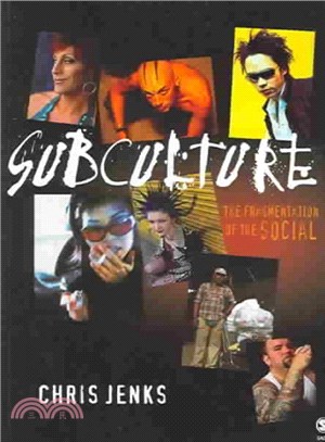 Subculture :the fragmentatio...